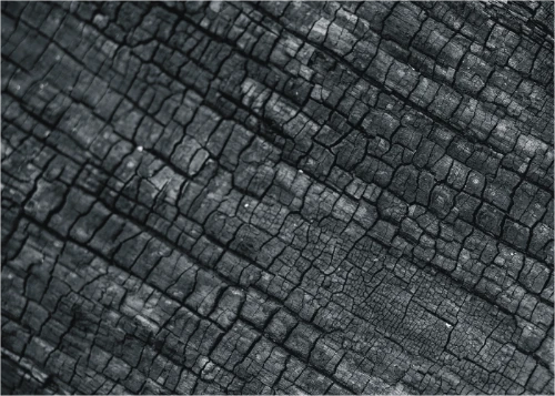 charcoal_black