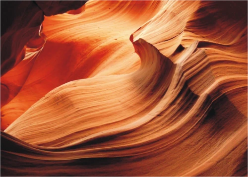 orange_oasis